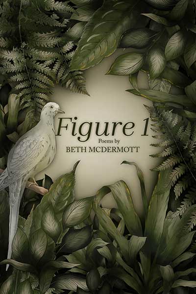 Cover of Beth McDermott's FIGURE 1